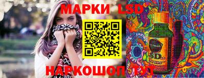 СК Кингисепп