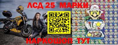 СК Кингисепп