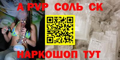 СК Кингисепп