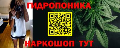 СК Кингисепп