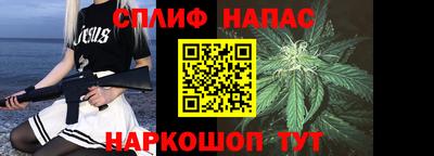 СК Кингисепп