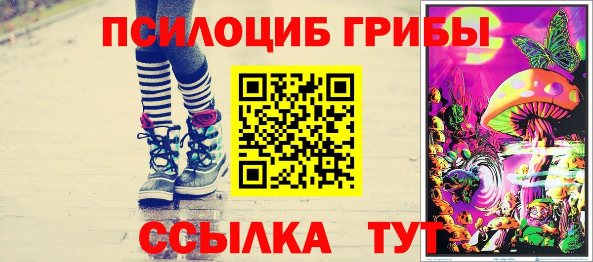 где купить наркоту  Псилоцибиновые грибы Psilocybine cubensis  Галлюциногенные грибы мицелий  Вход с VPN  Ульяновск 